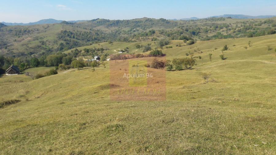 Teren intravilan de vanzare in Breaza (dezvoltare imobiliara) - 5