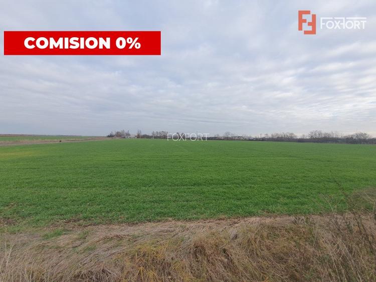 COMISION 0% Teren intravilan industrial 28.395 mp la sosea in Sag  - 4