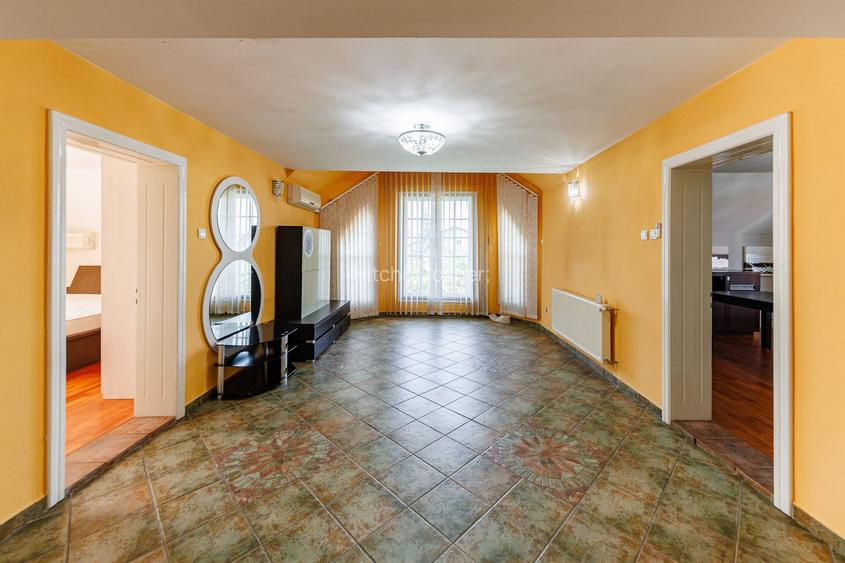 Vilă cu spatii largi, curte generoasă - 24