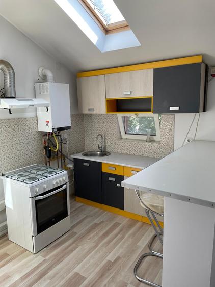 Apartament in mansarda - Damaroaia