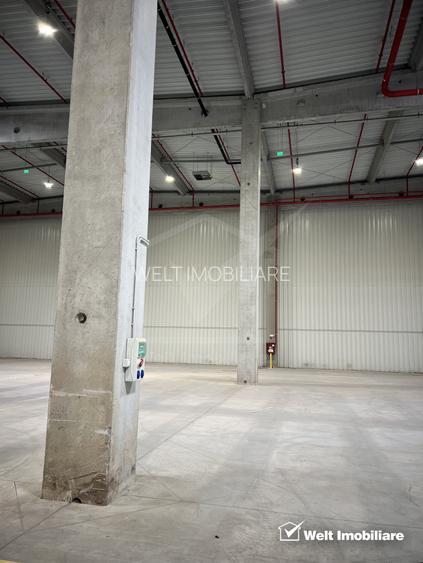 Depozit logistic 2610mp, 300mp birouri, H= 11m, ISU, zona Aeroport - 6