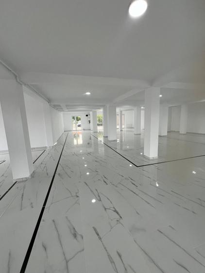 Spațiu comercial | Dumbrăvița Nord |
