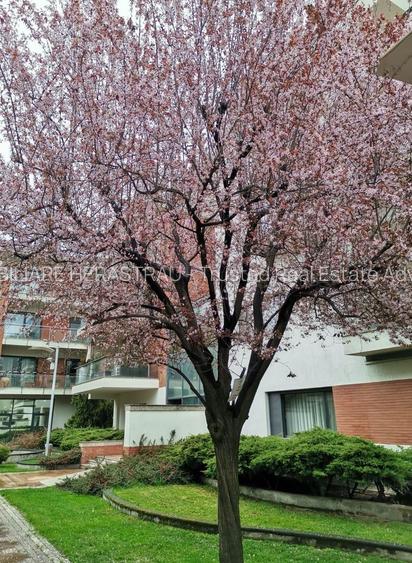 Apartament exclusivist cu 5 camere și două terase | Washington Residence - 19