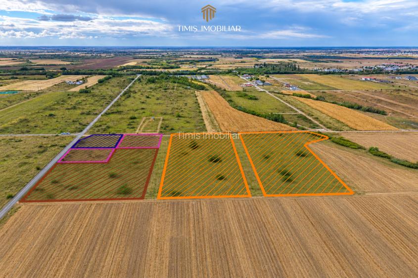 Terenuri 620–767 mp, CF individual – Moșnița Nouă | 0% comision