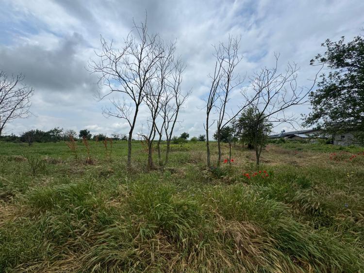 Teren Intravilan– 2.156 mp, zona Preajba