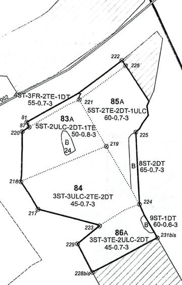 Vând pădure 48 ha – 2 parcele alăturate 22 ha + 26 ha, Autostrada A1 Km 59  - 2