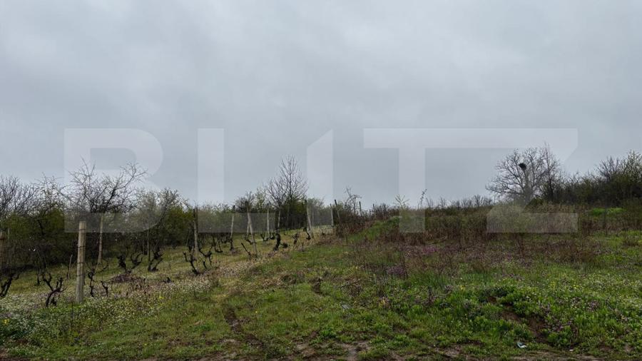 Teren intravilan 2000 mp, front 16,7 ml, vizibilitate la DN, Carcea