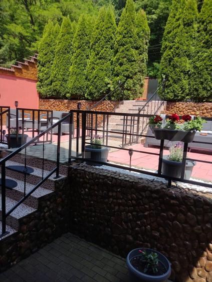Pensiune(Casa de locuit) + Restaurant, Cugir – pe marginea râului Mare