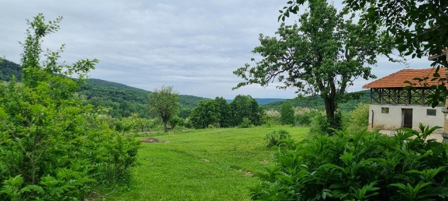 Casa traditionala intr-o zona de vis pe langa Curtea de Arges