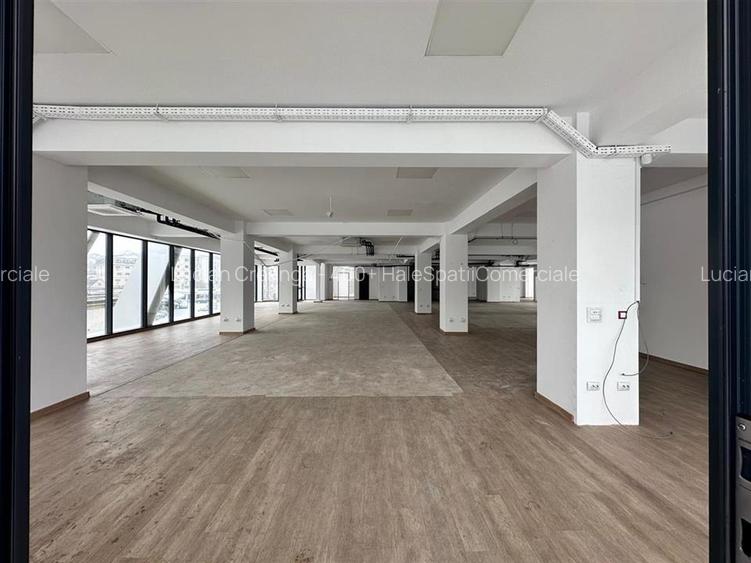 Spatiu comercial Tatarasi, langa Carrefour, 562mp - 10