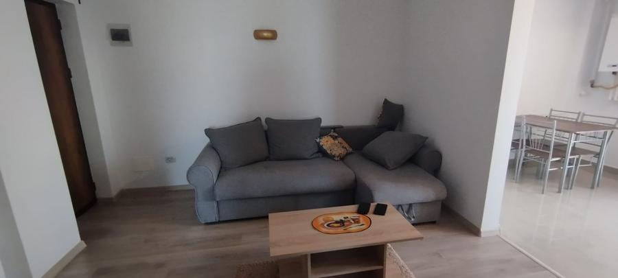 APARTAMENT 2 CAMERE, PARTER, PET FRIENDLY, PARCARE, POPAS PACURARI