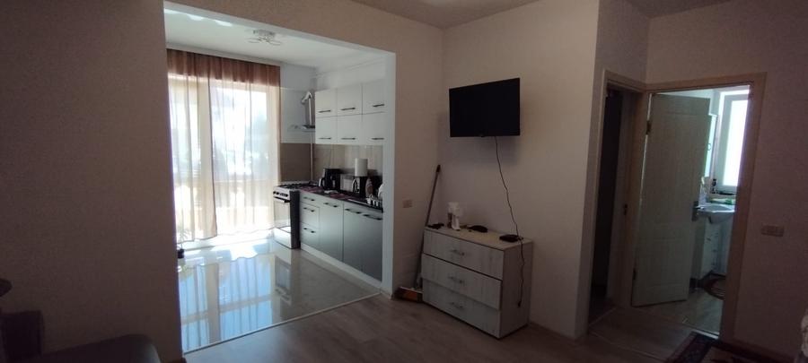 APARTAMENT 2 CAMERE, PARTER, PET FRIENDLY, PARCARE, POPAS PACURARI
