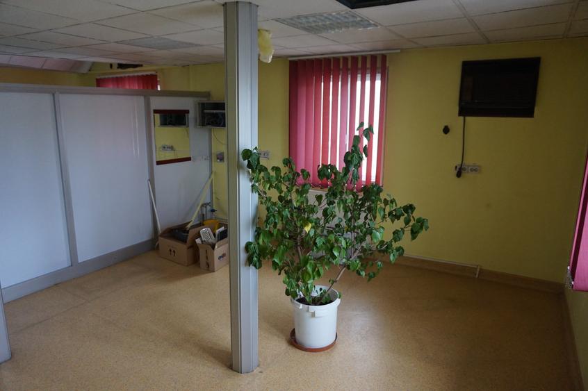 Parcul Carol - Rond Cosbuc, trei imobile, singur curte, liber