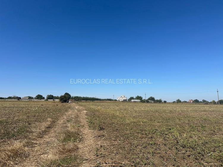 Exclusiv ! TUZLA - teren 10.000 mp cu deschidere 37 mp (Cod E8) - 7