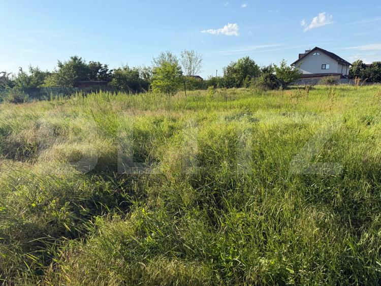 Teren intravilan, 1000 mp, front 16 ml, Dudovicesti, Simnicul de Sus