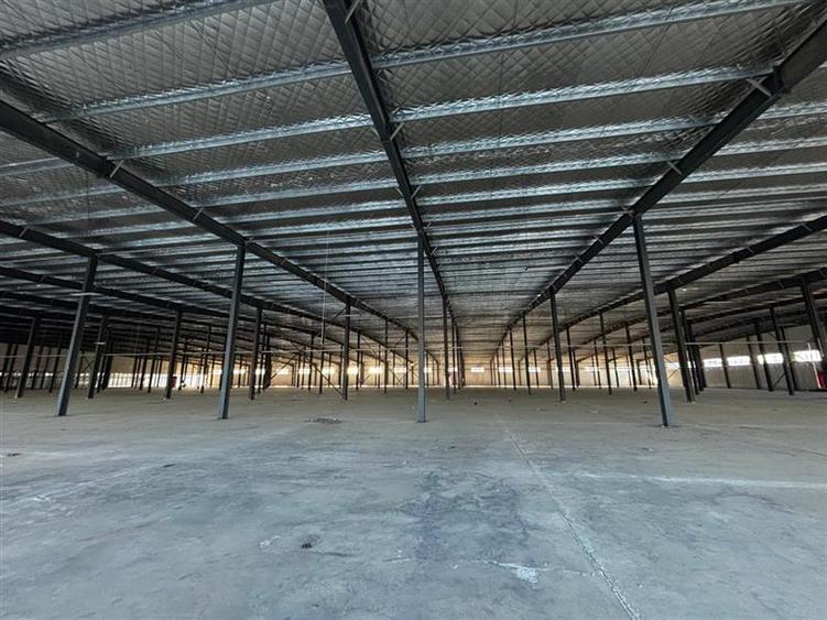 Inchiriere depozit/hala/spatiu industrial/showroom Afumati - DN2 - Dorally, Ilfo