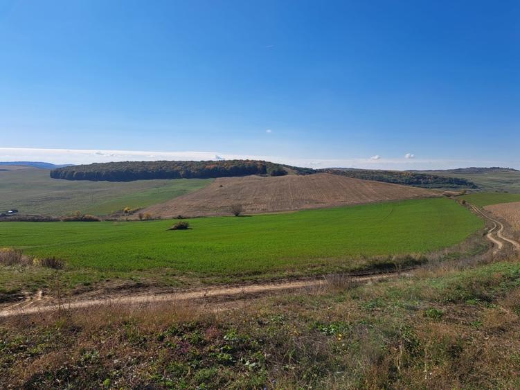 Teren agricol de vanzare