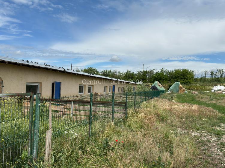 Ferma- spatiu comercial de vânzare Vitanesti -Teleorman - 7