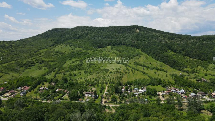 Teren spectaculos cu padure, livada si priveliste panoramica in Soimari PH - 2