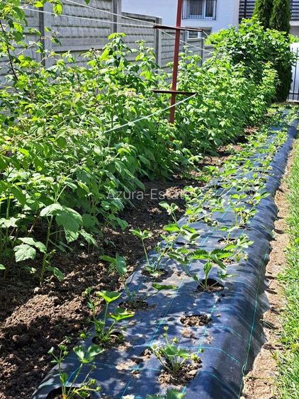 Casă individuală 5 camere cu garaj curte si gradină Șura Mare - 13