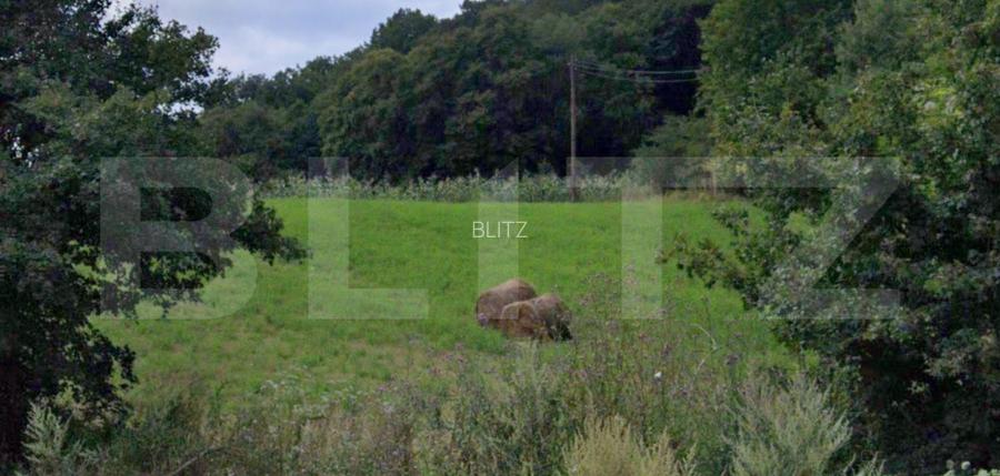 Teren intravilan, 1100 mp, front 25 m, zona Popești - 4