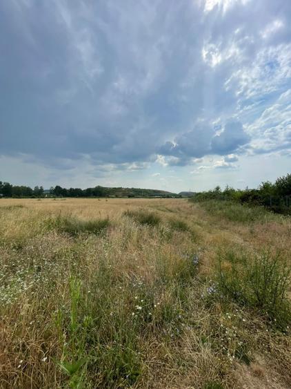 Teren investiție – 57 ari intravilan, front stradal 40m, Italsofa