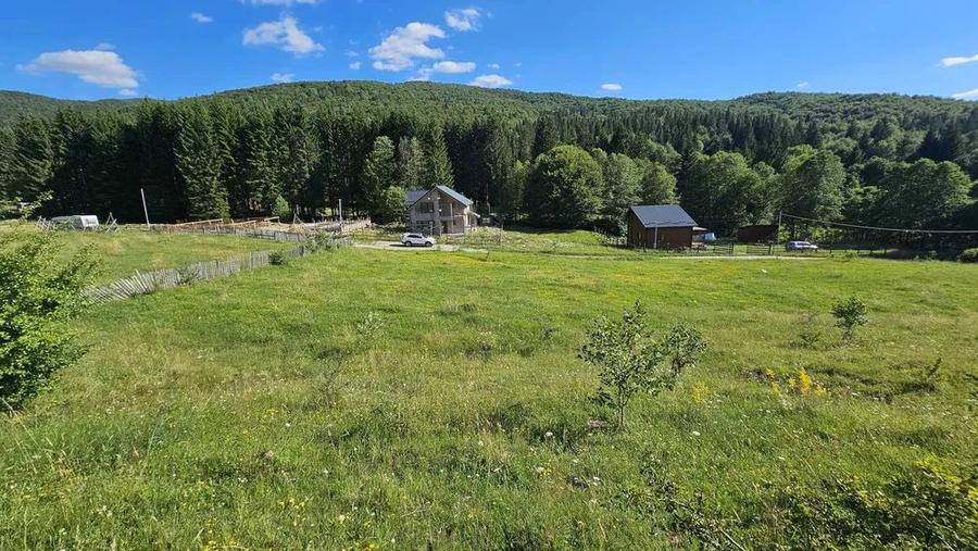 Teren intravilan Traisteni, Valea Doftanei – 2.290 mp, deschidere mare, padure