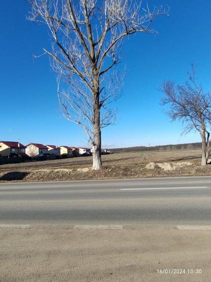 Teren de Vanzare in Balotesti-Moara Vlasiei