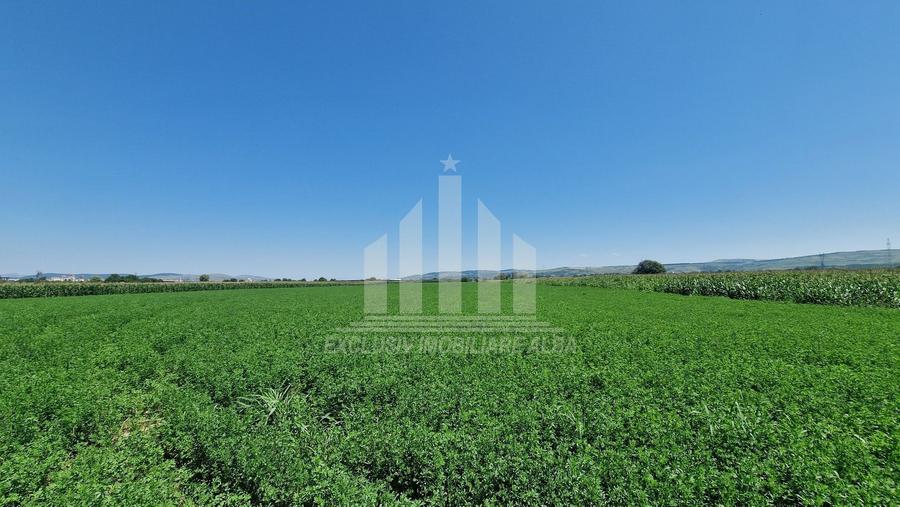 Teren intravilan | 17300 mp | 20 de parcele | Soseaua de Centura