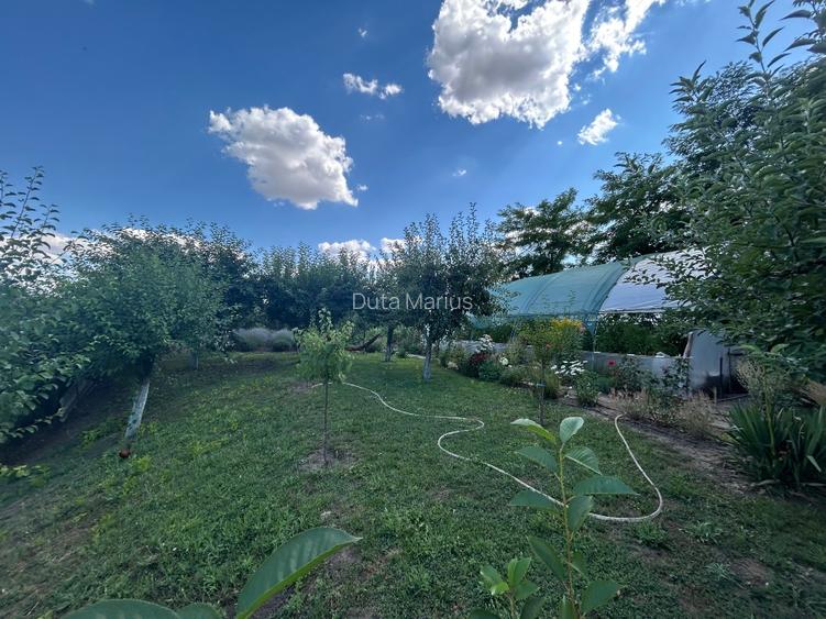 Vand casa la sol 80mp cu teren de 1064mp - 14