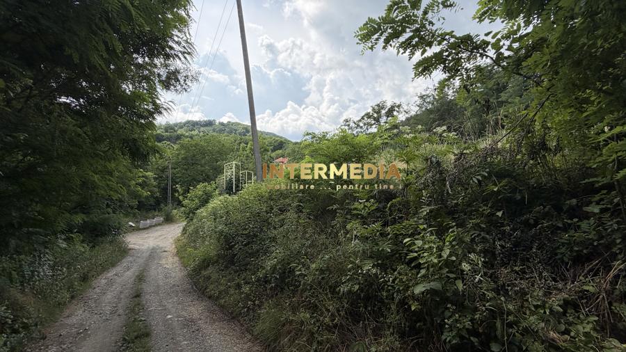 TEREN Intravilan 1257 mp Liziera Pădurii Meteș Platou Cabană la 15 km Alba Iulia