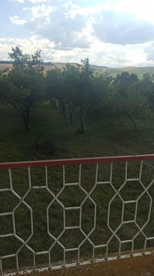 Casa de vacanta cu teren 1.2 ha