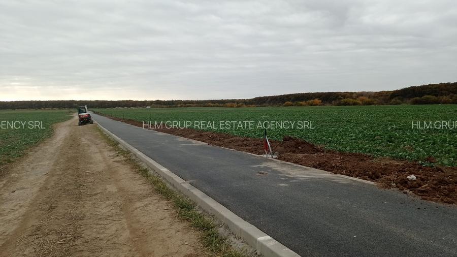 PROPRIETAR-TEREN 570 mp - Calul Balan/LAC/ PADURE/Buftea(loturi) - 5