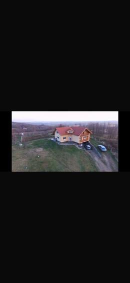 Vinzare casa si teren cu vie