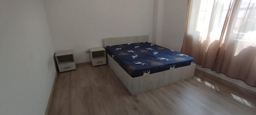 APARTAMENT 2 CAMERE, PARTER, PET FRIENDLY, PARCARE, POPAS PACURARI