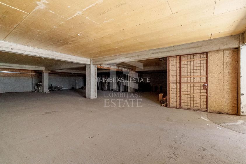 Spatiu comercial  424 mp  Oportunitati multiple - Baneasa Jandarmeriei - 4