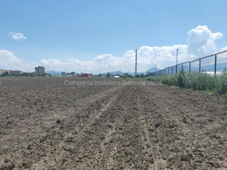 Teren intravilan cu potențial excelent în Triaj, Narciselor, pentru dezvoltatori - 8