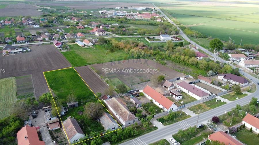 Gospodarie de vanzare in Giulvaz, judetul Timis - 2