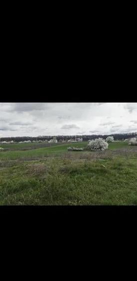 Vanzare teren intravilan Vladiceasca/Snagov langa lac
