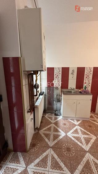 COMISION 0% Apartament cu 2 camere la parter cladire istorica in Timisoara - 12