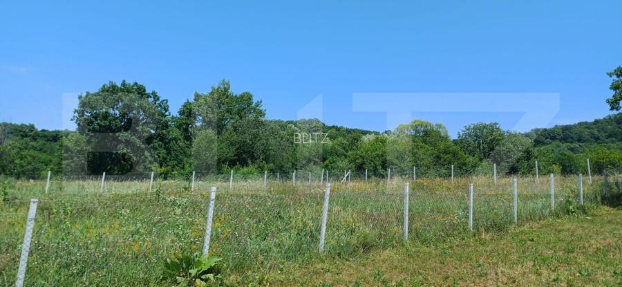 Teren extravilan de 1000 mp, situat pe strada Ghinzii - 5