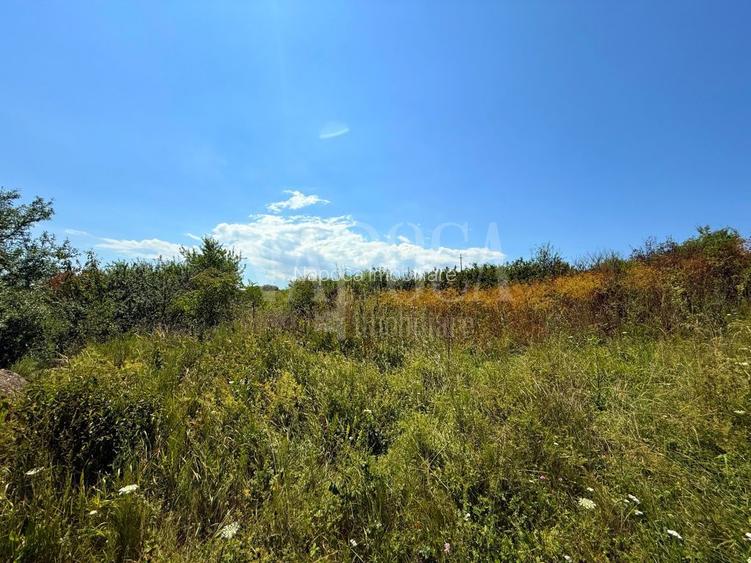 Teren intravilan pentru constructii de vanzare in Chinteni - 2