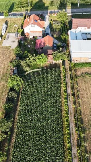 Casă Spațioasă și Domeniu Generos de Vânzare în sat Râu Barbat, comuna Pui, HD