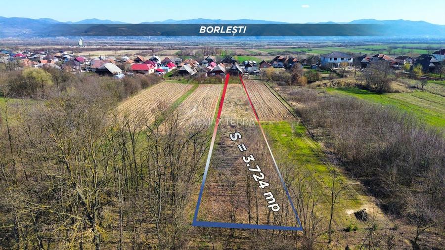 Casa de vanzare in Borlesti, Pomi | 37 ari teren | Comision 0% - 21