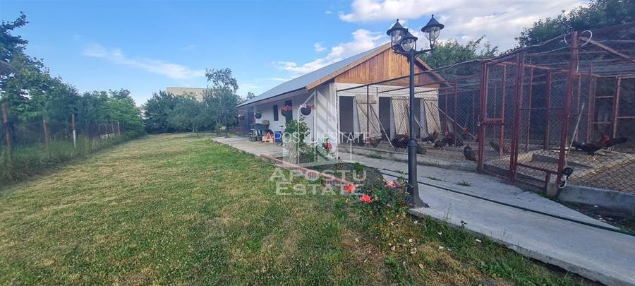 Casa individuala de vanzare cu teren de 2000 mp, Fratelia, Timisoara - 3