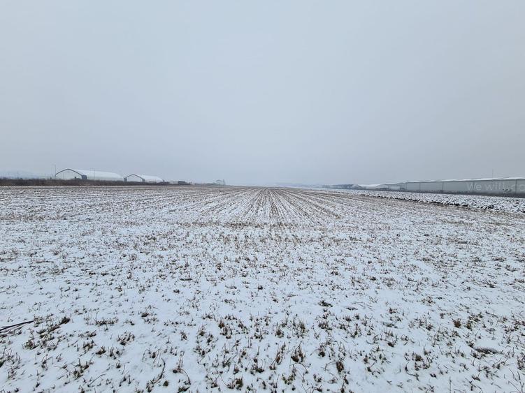 Teren industrial de vanzare in Stupini