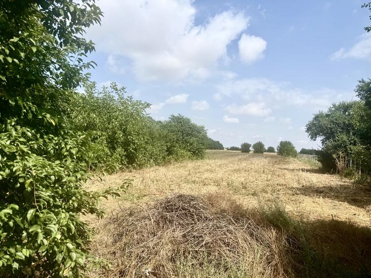 Oportunitate de investiție – Teren 3.000 mp în Gruiu, Ilfov