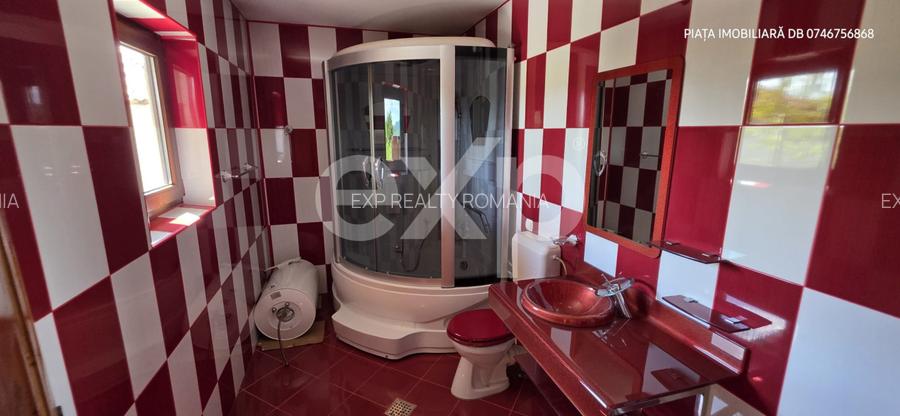 Casă individuală de vânzare, 6 camere, subsol 110 mp, teren 5.753 mp – Cândești - 8