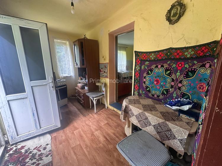 Casa de vacanta 98 mp| 12.141 mp teren| zona Valea Vintului - 12