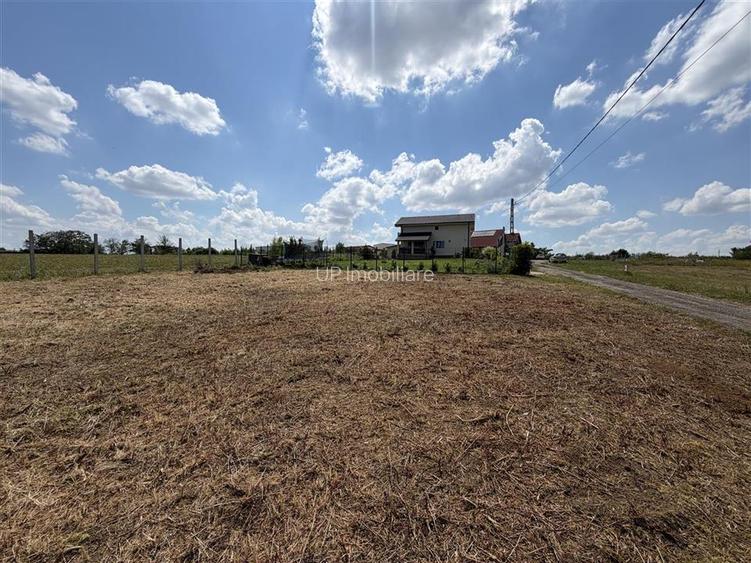 TEREN INTRAVILAN 800 MP | ZONA PALEU | BIHOR - 3